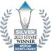 silver_stevie_2023
